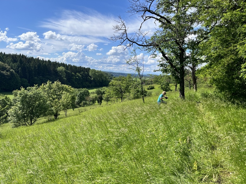 24-05-18 16-16-59 9474.jpg